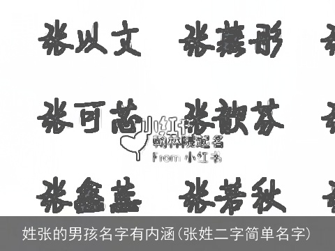 姓张的男孩名字有内涵(张姓二字简单名字)