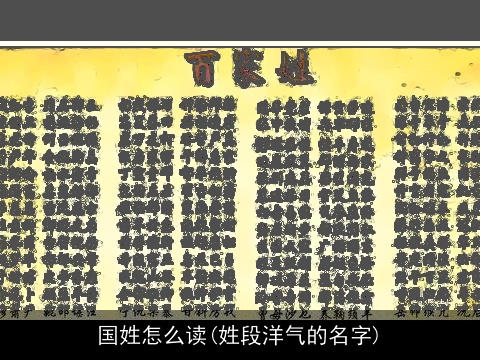 国姓怎么读(姓段洋气的名字)