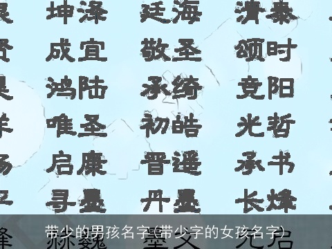 带少的男孩名字(带少字的女孩名字)