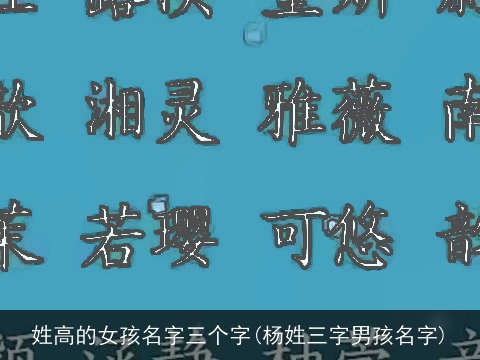 姓高的女孩名字三个字(杨姓三字男孩名字)