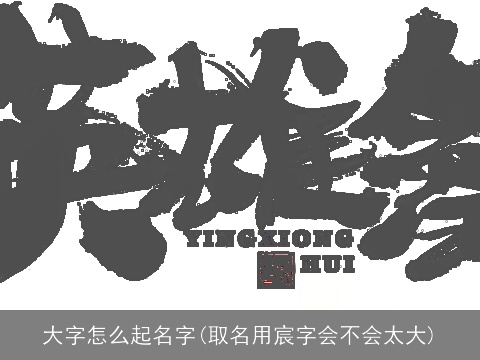大字怎么起名字(取名用宸字会不会太大)