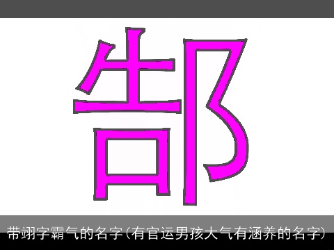带翊字霸气的名字(有官运男孩大气有涵养的名字)