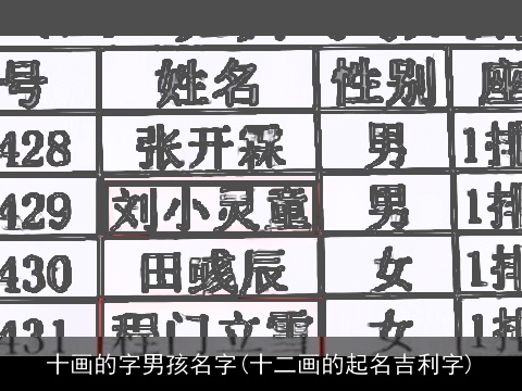 十画的字男孩名字(十二画的起名吉利字)