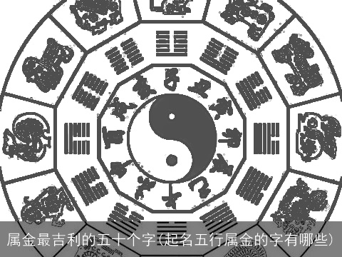属金最吉利的五十个字(起名五行属金的字有哪些)