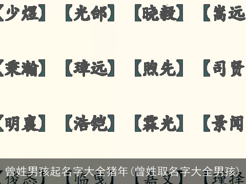 曾姓男孩起名字大全猪年(曾姓取名字大全男孩)