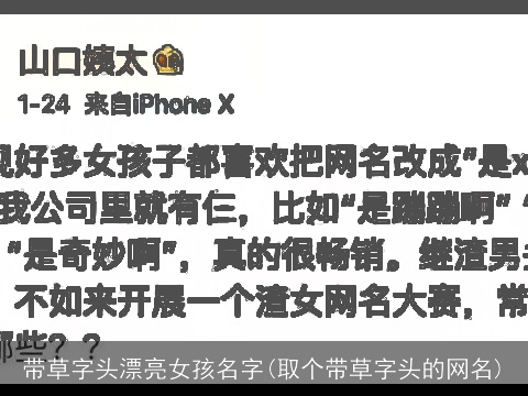 带草字头漂亮女孩名字(取个带草字头的网名)