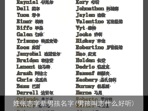 姓张志字辈男孩名字(男孩叫志什么好听)