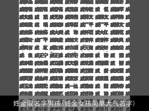 姓金取名字男孩(姓金女孩简单大气名字)
