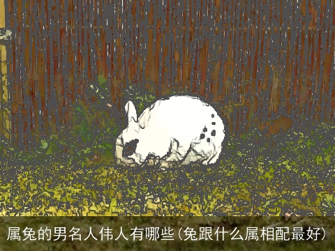 属兔的男名人伟人有哪些(兔跟什么属相配最好)
