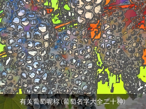 有关葡萄昵称(葡萄名字大全二十种)