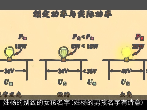 姓杨的别致的女孩名字(姓杨的男孩名字有诗意)