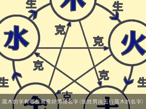 属木的字有哪些寓意好男孩名字(张姓男孩五行属木的名字)