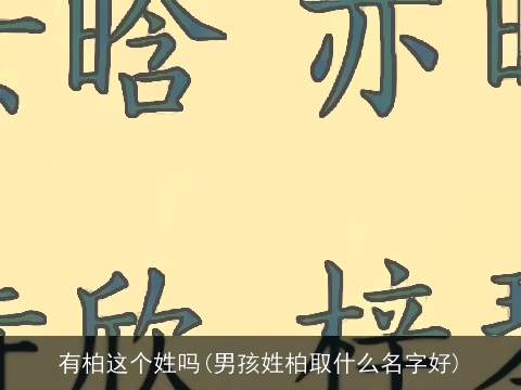 有柏这个姓吗(男孩姓柏取什么名字好)