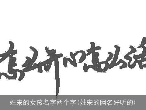 姓宋的女孩名字两个字(姓宋的网名好听的)