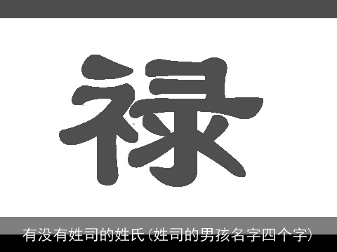 有没有姓司的姓氏(姓司的男孩名字四个字)