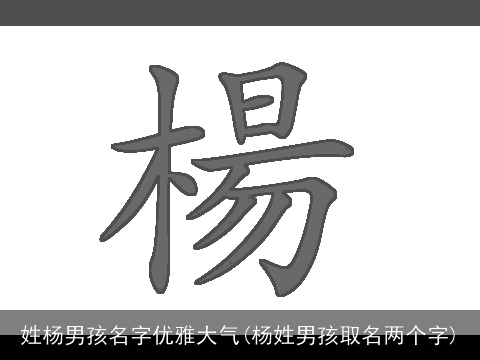 姓杨男孩名字优雅大气(杨姓男孩取名两个字)