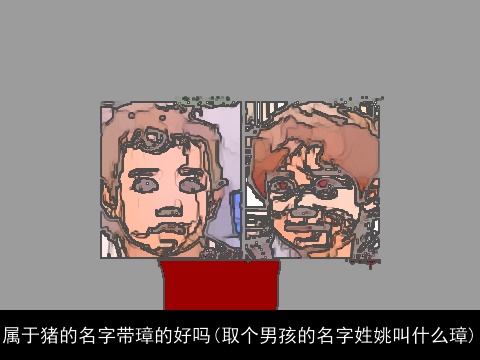 属于猪的名字带璋的好吗(取个男孩的名字姓姚叫什么璋)