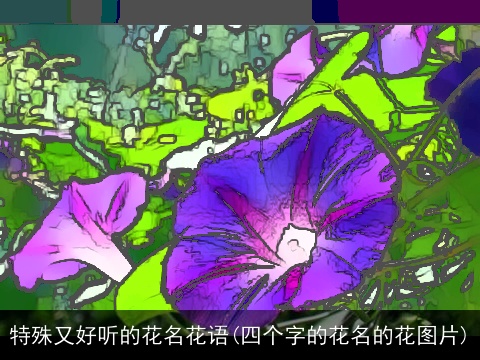 特殊又好听的花名花语(四个字的花名的花图片)