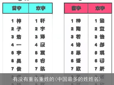 有没有重名重姓的(中国最多的姓姓名)
