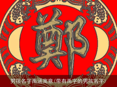 男孩名字禹涵寓意(带有禹字的男孩名字)