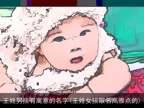 王姓男孩有寓意的名字(王姓女孩取名高雅点的)