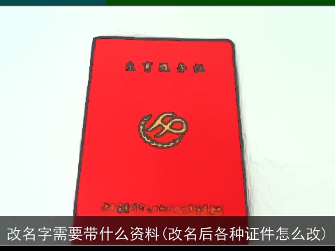 改名字需要带什么资料(改名后各种证件怎么改)