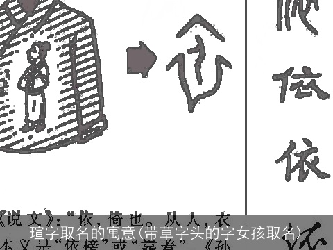 瑄字取名的寓意(带草字头的字女孩取名)