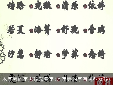 木字旁的字男孩起名字(木字旁的字有哪些女孩)