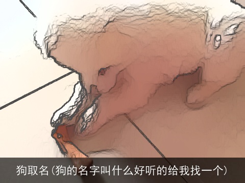 狗取名(狗的名字叫什么好听的给我找一个)