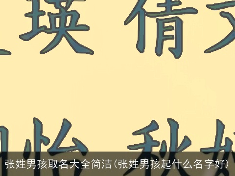 张姓男孩取名大全简洁(张姓男孩起什么名字好)