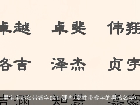 男宝宝起名带睿字的有哪些(夏姓带睿字的男孩名字)