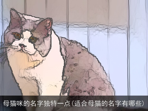 母猫咪的名字独特一点(适合母猫的名字有哪些)