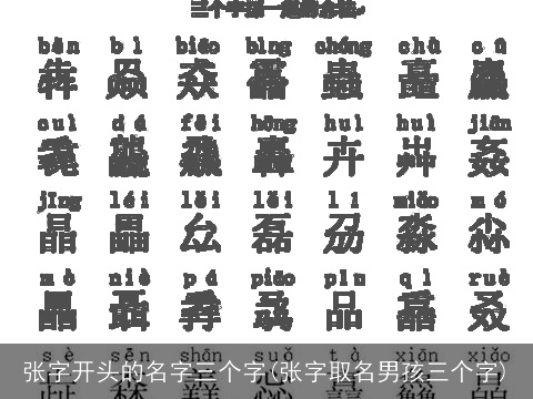 张字开头的名字三个字(张字取名男孩三个字)