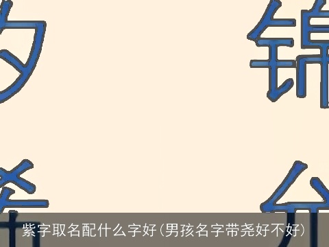 紫字取名配什么字好(男孩名字带尧好不好)
