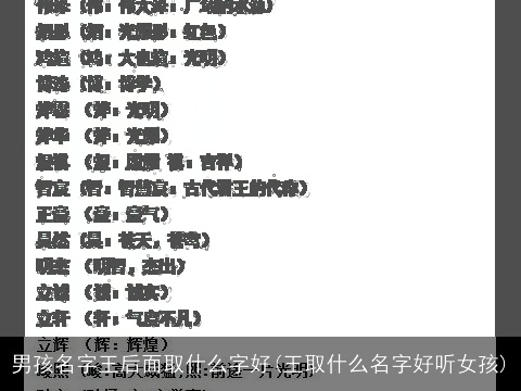 男孩名字王后面取什么字好(王取什么名字好听女孩)