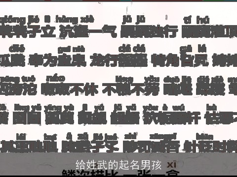 给姓武的起名男孩