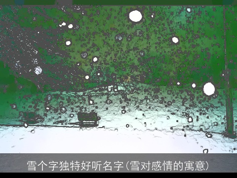 雪个字独特好听名字(雪对感情的寓意)