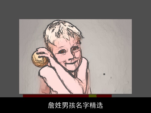 詹姓男孩名字精选