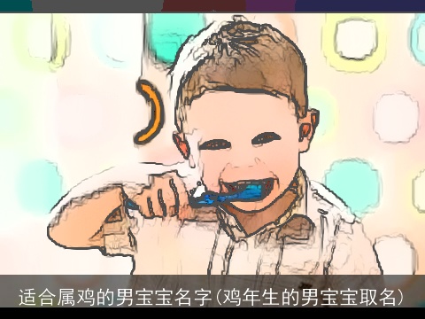 适合属鸡的男宝宝名字(鸡年生的男宝宝取名)