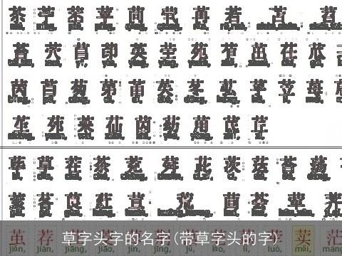 草字头字的名字(带草字头的字)