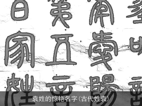 袁姓的惊艳名字(古代姓袁)