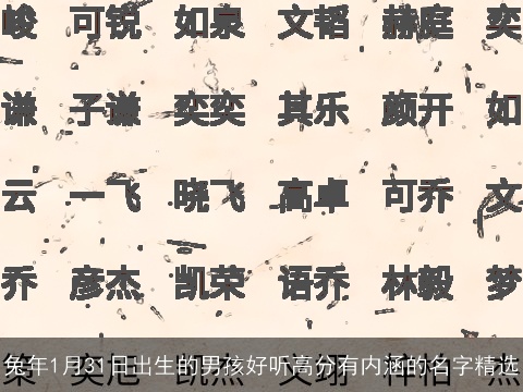 兔年1月31日出生的男孩好听高分有内涵的名字精选