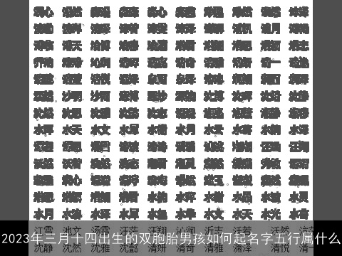 2023年三月十四出生的双胞胎男孩如何起名字五行属什么