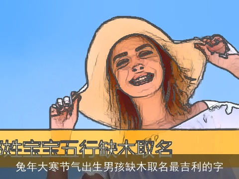 兔年大寒节气出生男孩缺木取名最吉利的字