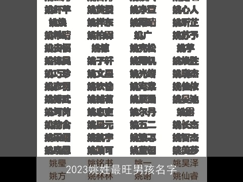 2023姚姓最旺男孩名字