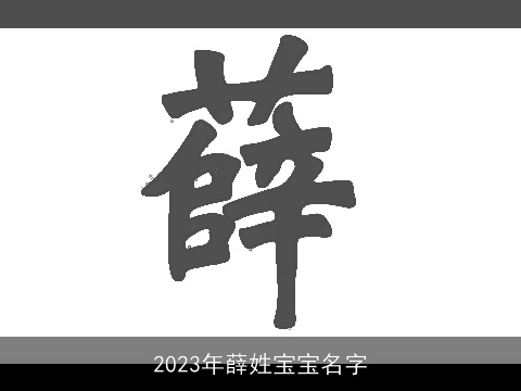 2023年薛姓宝宝名字