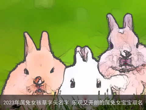 2023年属兔女孩草字头名字 乐观又开朗的属兔女宝宝取名