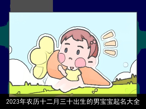 2023年农历十二月三十出生的男宝宝起名大全