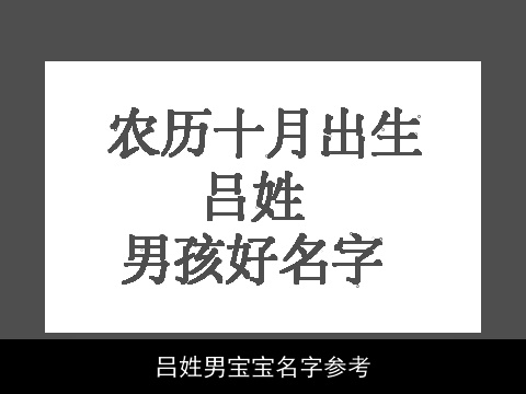吕姓男宝宝名字参考