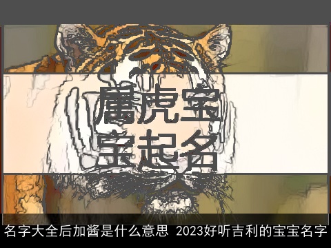 名字大全后加酱是什么意思 2023好听吉利的宝宝名字